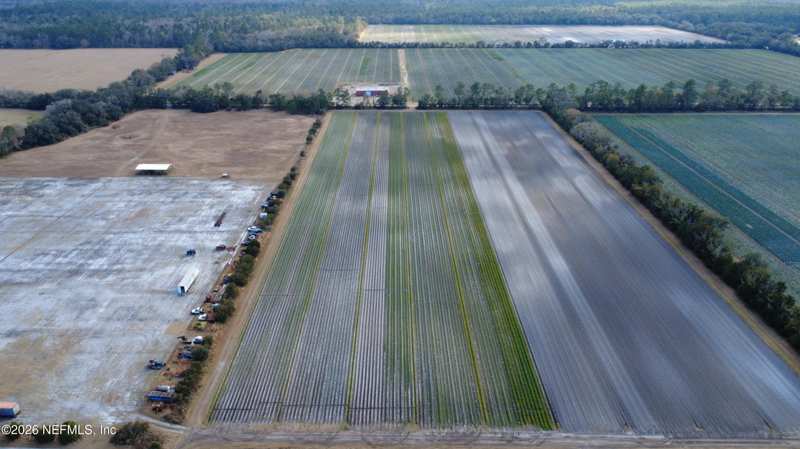 Unimproved Land at 832 Co Rd 110, Bunnells, Bunnell — photo 1
