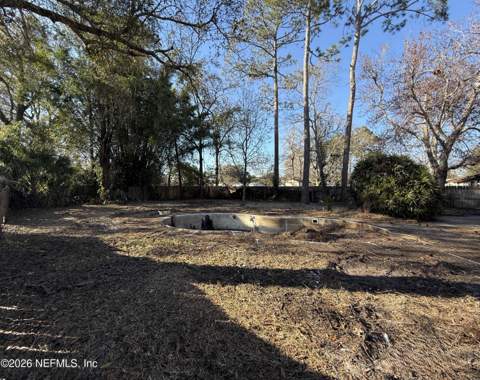 1658 Evergreen Lane, Middleburg FL - photo 6 of 20