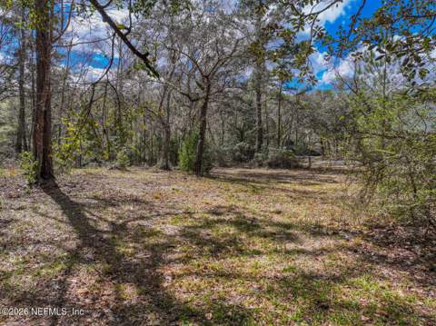 3125 Black Creek Drive, Middleburg FL - photo 9 of 21