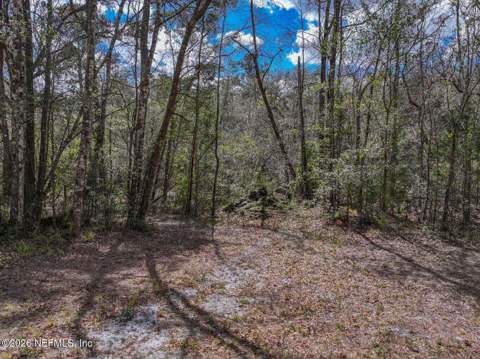 3125 Black Creek Drive, Middleburg FL - photo 10 of 21