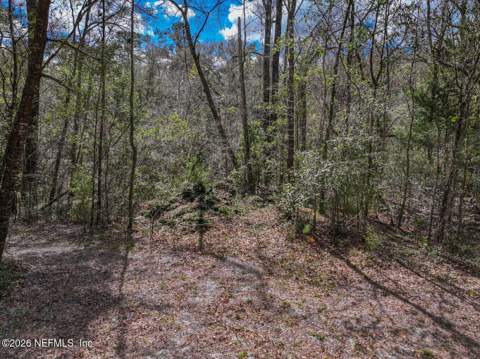 3125 Black Creek Drive, Middleburg FL - photo 11 of 21