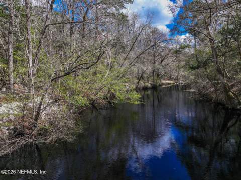 3125 Black Creek Drive, Middleburg FL - photo 21 of 21
