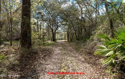 4333 Hawk Haven Road, Middleburg FL - photo 7 of 51