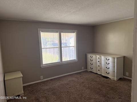 12717 Dunn Creek Road, Jacksonville FL - photo 8 of 20