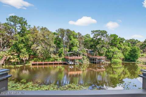 293 Maxwell Drive, home for sale in Welaka 32193
