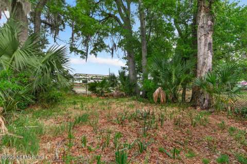 1024 Eaverson Street, Jacksonville FL - photo 16 of 17