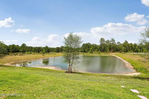 3626 Luxor Way, Middleburg FL - photo 11 of 26