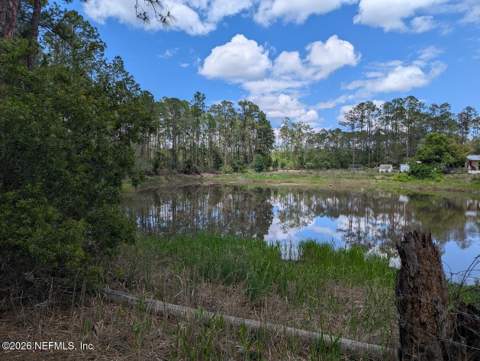 104 Moore Avenue, Interlachen FL - photo 16 of 18