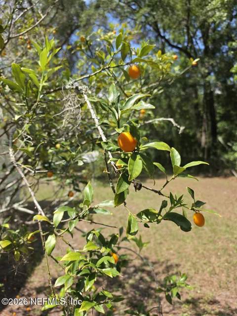 2756 Copper Court, Middleburg FL - photo 15 of 15
