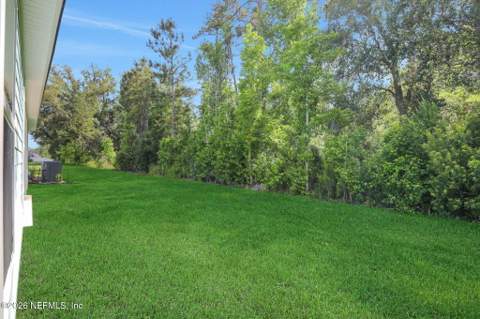 2238 Brannings Sawmill Court, Middleburg FL - photo 6 of 6