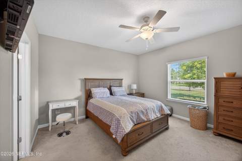3920 Bloomfield Court, Middleburg FL - photo 16 of 52