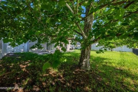 4777 Plantation Oaks Boulevard, Orange Park FL - photo 7 of 36