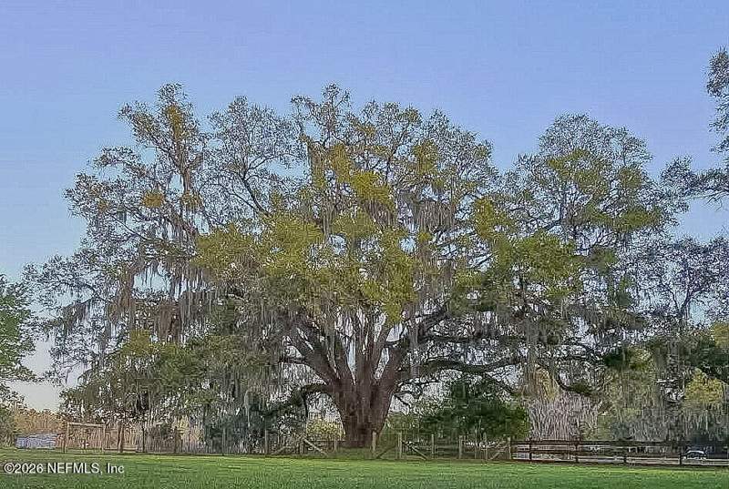 3 bedroom Single Family Residence at 11325 Young Road, Dinsmore Farms, Jacksonville — photo 4