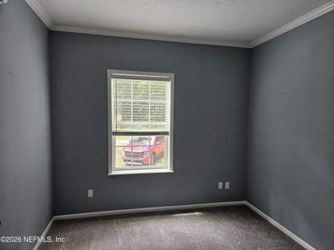 4294 Banks Road, Middleburg FL - photo 8 of 14
