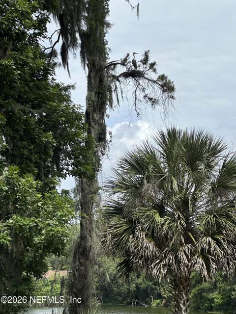 1900 E Holly Oaks Lake Road, Jacksonville FL - photo 20 of 21