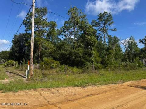 602 Junior Lake Drive, Interlachen FL - photo 19 of 22