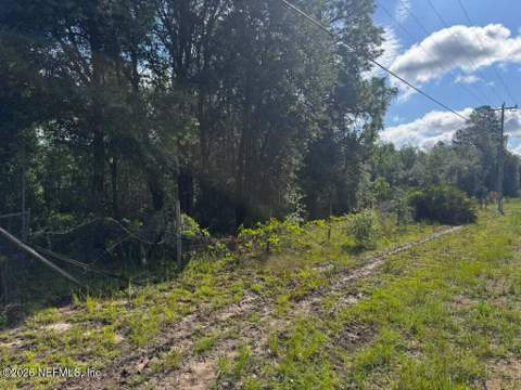 602 Junior Lake Drive, Interlachen FL - photo 20 of 22