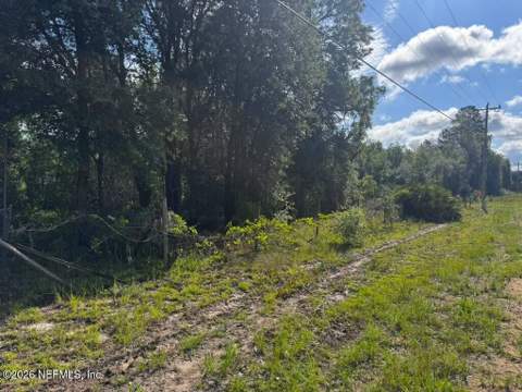 602 Junior Lake Drive, Interlachen FL - photo 21 of 22