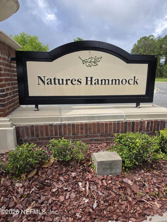 Natures Hammock