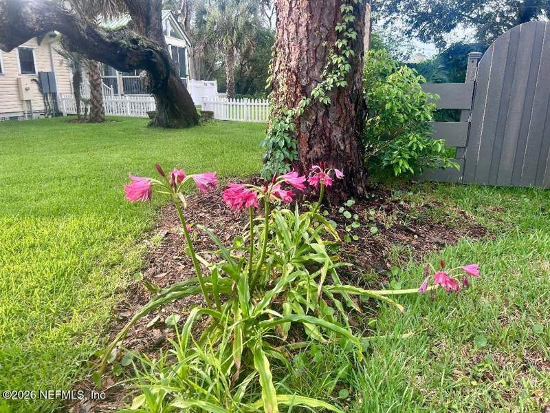 3 bedroom Single Family Residence at 32 E Park Avenue, Fullerwood, St. Augustine — photo 3