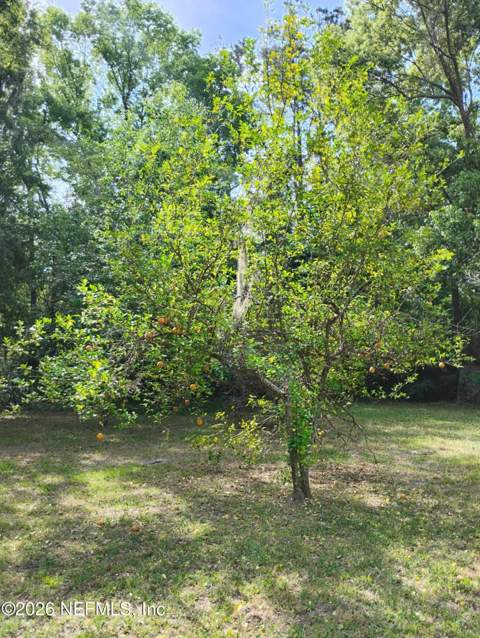 1449 Delmar Street, Jacksonville FL - photo 7 of 8