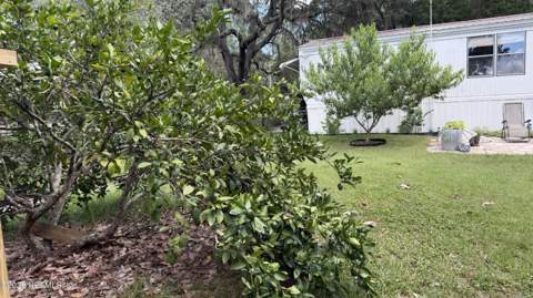 112 Violet Circle, Interlachen FL - photo 22 of 55