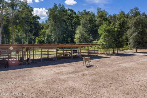 318 Branding Iron Drive, Maxville FL - photo 20 of 81