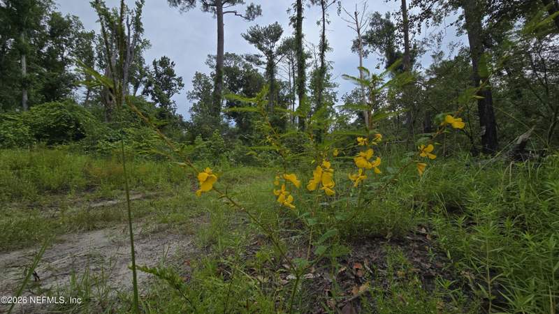 Unimproved Land at Lot 16 16th Street, Fox Hollow, Jasper — photo 2
