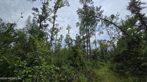 Lot 16 16th Street, Jasper FL - photo 6 of 11