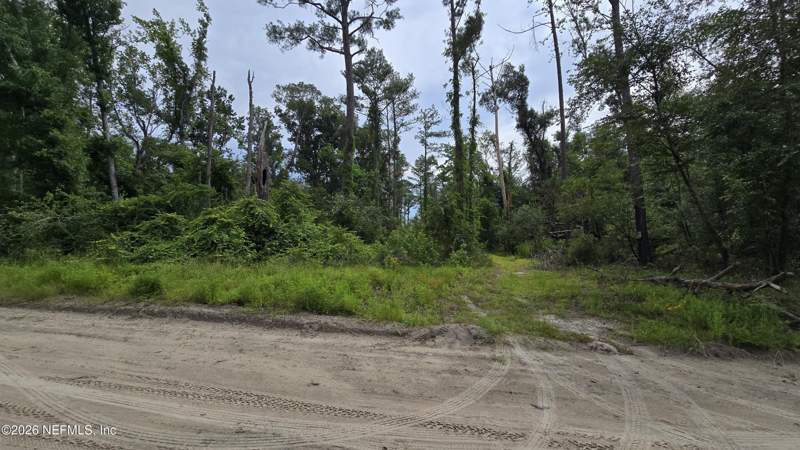 Unimproved Land at Lot 16 16th Street, Fox Hollow, Jasper — photo 3