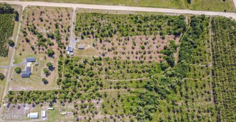 11485 Peacock Creek Road, Glen St. Mary FL - photo 10 of 72