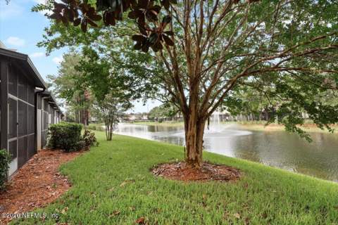 7543 Scarlet Ibis Lane, Jacksonville FL - photo 23 of 40