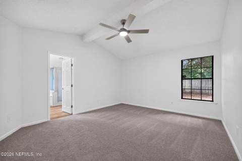 8233 Velvet Springs Lane, Jacksonville FL - photo 9 of 13