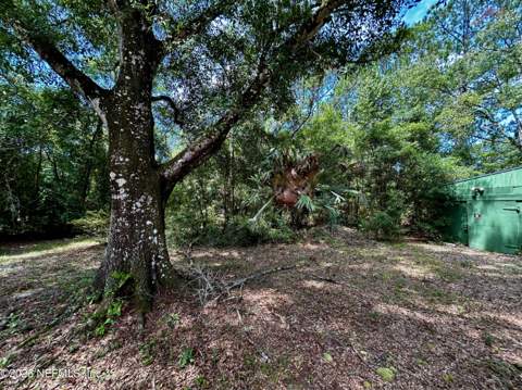 4730 Catherine Street, Hastings FL - photo 8 of 56