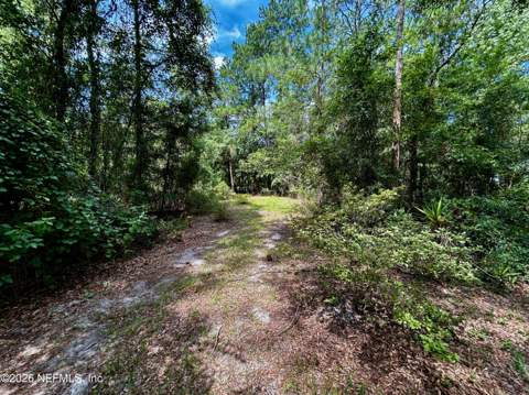 4730 Catherine Street, Hastings FL - photo 7 of 56
