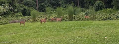 204 Seminole Trail, Georgetown FL - photo 16 of 22