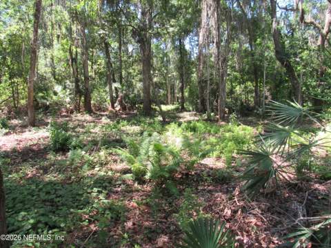 451 County Road 13, St. Augustine FL - photo 15 of 38