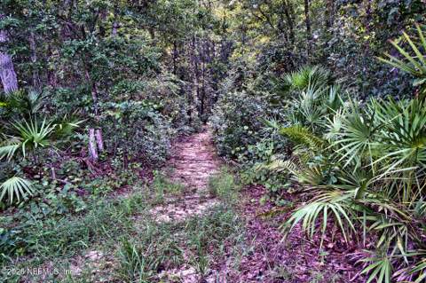117 Gas Easement Road, Interlachen FL - photo 6 of 52