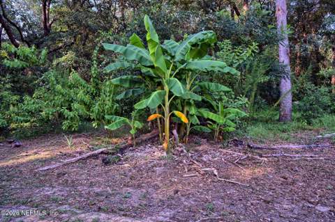 117 Gas Easement Road, Interlachen FL - photo 7 of 52