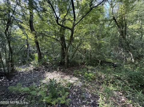 6985 Woodward Road, St. Augustine FL - photo 12 of 17