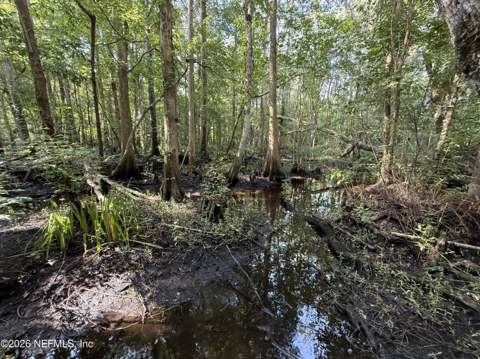 6985 Woodward Road, St. Augustine FL - photo 13 of 17
