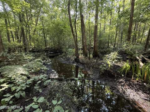 6985 Woodward Road, St. Augustine FL - photo 15 of 17
