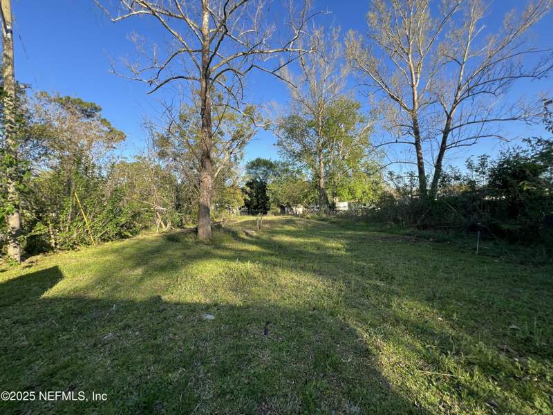 3 bedroom Single Family Residence at 13603 Lyle Road, Duval City, Jacksonville — photo 2