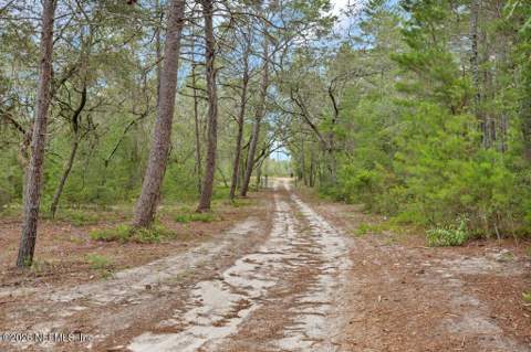 8237 Forest Hills Road, Melrose FL - photo 8 of 37