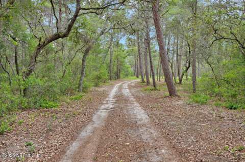 8237 Forest Hills Road, Melrose FL - photo 9 of 37