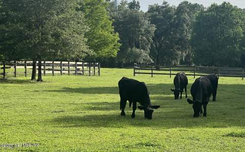 4299 Hawk Haven Road, Middleburg FL - photo 12 of 101