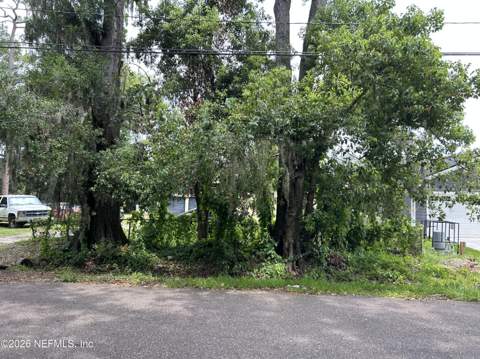 5463 LEAMING Avenue, Jacksonville FL - photo 19 of 20