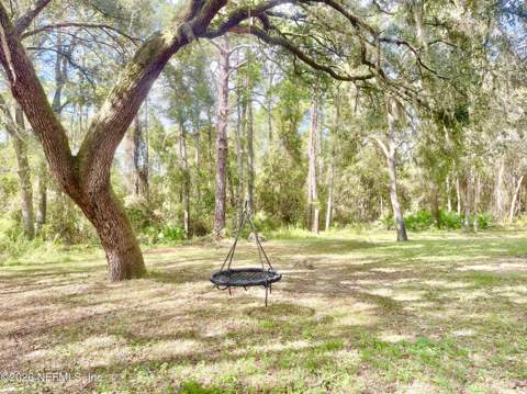 4025 Thunder Heights Lane, Middleburg FL - photo 23 of 32