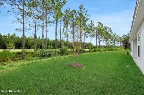 3770 Holstein Way, Green Cove Springs FL - photo 6 of 49