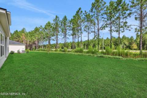 3766 Holstein Way, Green Cove Springs FL - photo 9 of 50